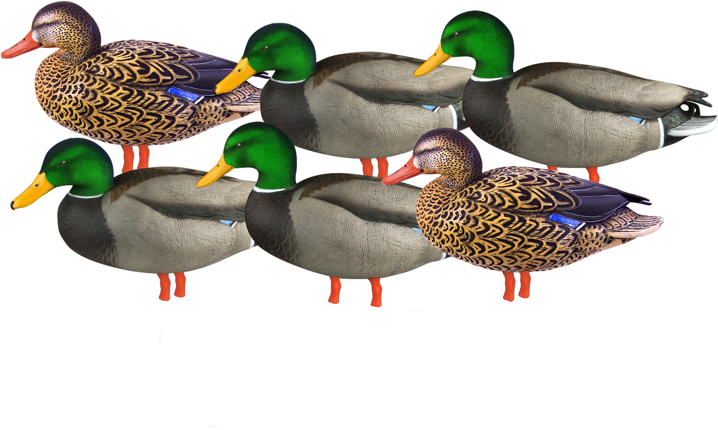 Avery Pro-grade Full Body Mallard Active Flocked Head - Kit Stampi Germani Ghg Pro Grade Da Campo Con Testa (1600x1417), Png Download