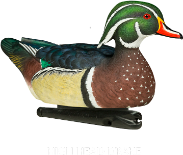 Avian X Top Flight Wood Duck - Avian-x Mississippi Flyway Duck Decoy Pack - 6-pack (450x311), Png Download