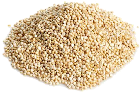 What Are The Benefits - Quinoa Seed (500x500), Png Download