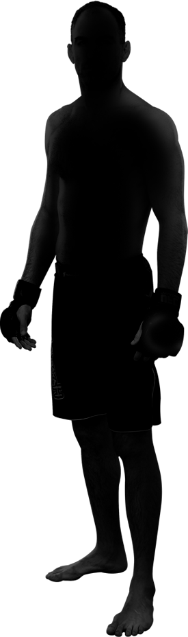 Ufc Fighter Shadow (275x928), Png Download