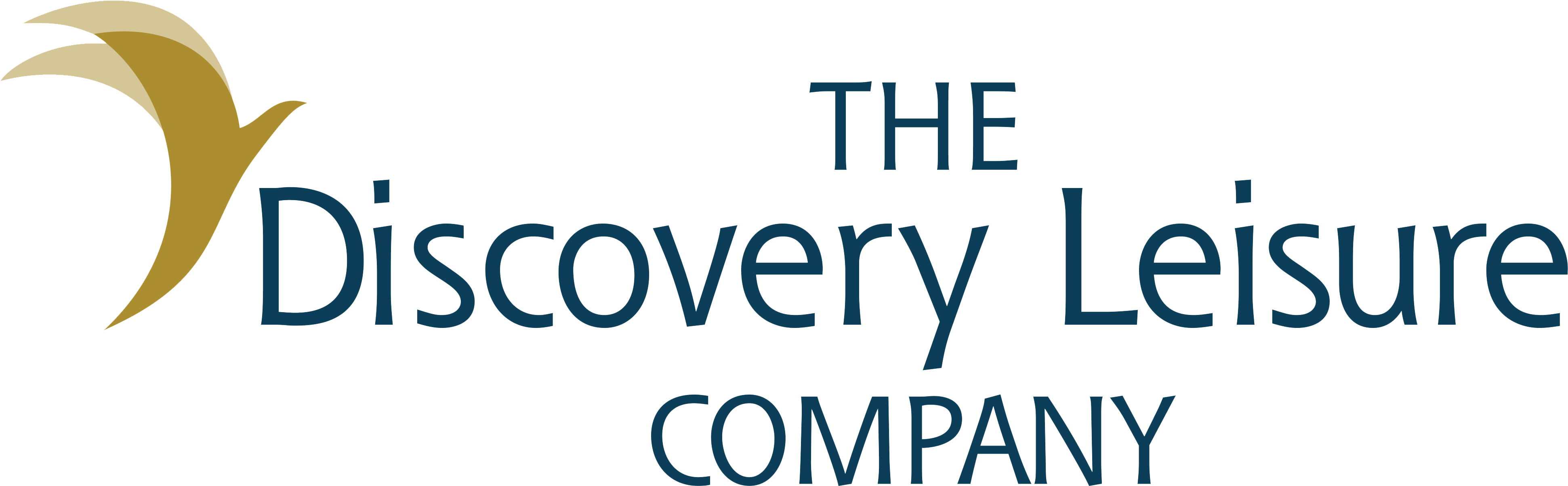Discovery - Discovery Leisure Company Inc Logo (3936x1278), Png Download