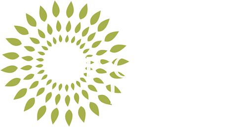 Discovery Dental Logo For Mobile - Design (500x281), Png Download