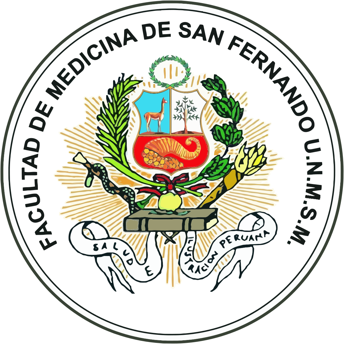 Facultad De Medicina "san Fernando" - Facultad De Medicina Unmsm Insignia (1200x1200), Png Download