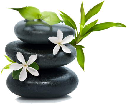 Pierre Zen Png - Holocuren Hcsrm Miracle Lips Serum Vial, 0.33 Oz, Silver (500x386), Png Download