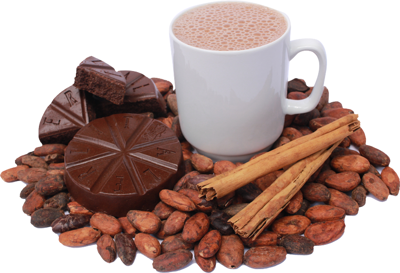 Cacao Tree (822x561), Png Download