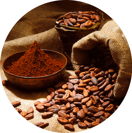 Fève De Cacao Png (449x450), Png Download