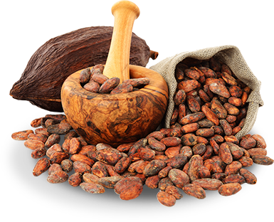 Thailand Wholesale Cacao Powder, Thailand Wholesale - Cacao Png (385x312), Png Download