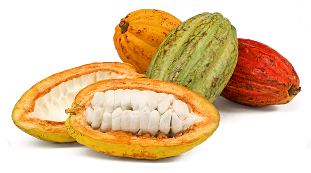 Image Module - Cacao Seco Y Baba (1046x583), Png Download