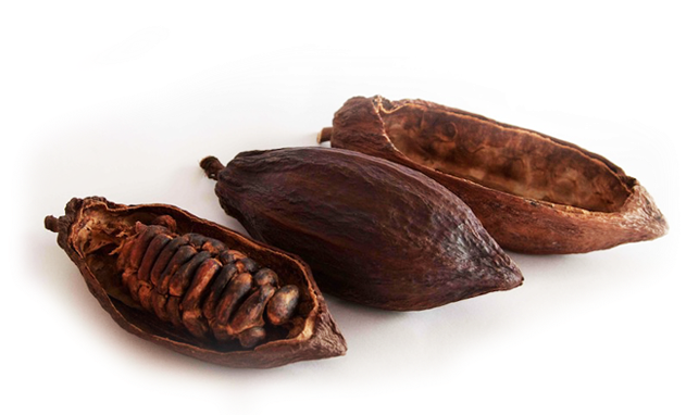 Own A Piece Of The World Beyond - Cacao Bean Roaster Machine (630x420), Png Download
