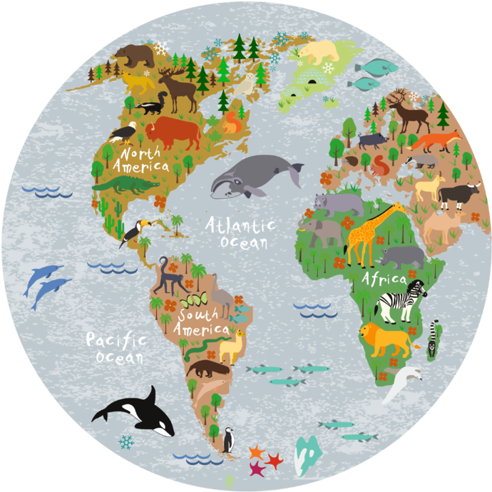 World Map Round Placemat - Round World Map Cartoon (800x800), Png Download