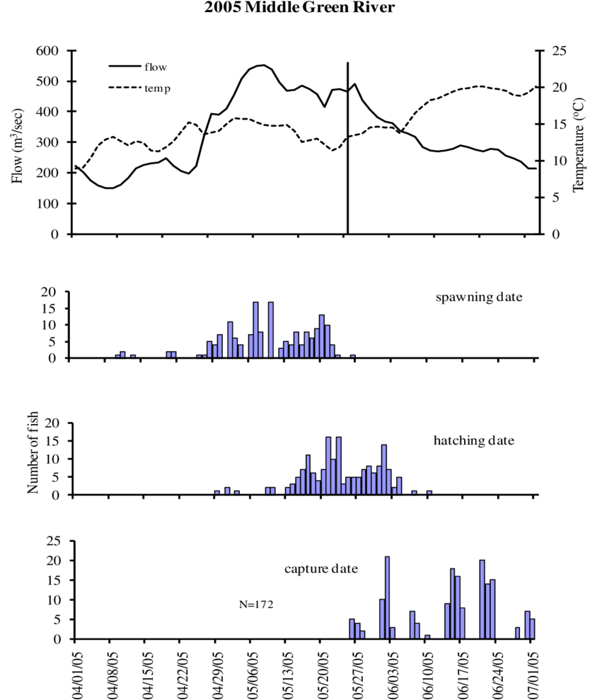 Capture And Otolith Age Estimated Hatching And Spawning - Diagram (850x1029), Png Download