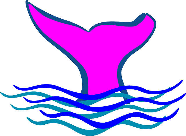 Fin, Whale, Ocean, Sea Life, Diving, Mermaid, Fish - Tail Clip Art (640x467), Png Download