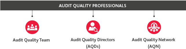 B Audit Quality Professionals - Quality Audit (675x192), Png Download