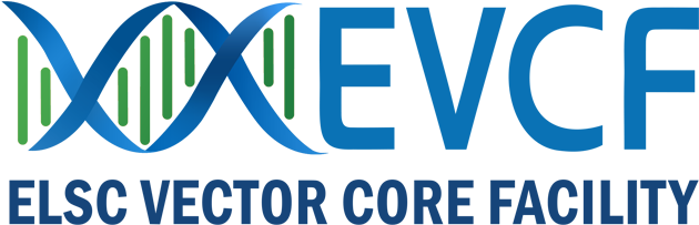 Lentiviruses Are Additional Versatile Neuroscience - Graphic Design (726x304), Png Download