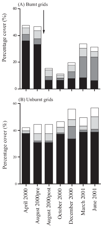 Mean Vegetation Cover At Burnt And (b) Unburnt Grids - Musical Keyboard (480x772), Png Download