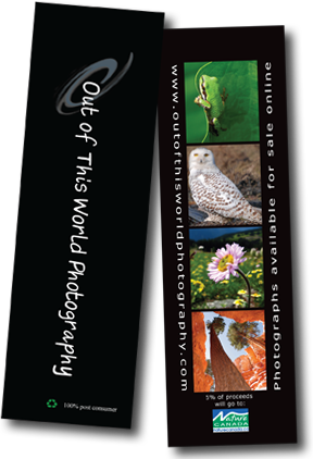 Bookmark Image - Company Bookmarks (288x422), Png Download