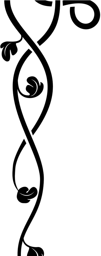 19 Holiday Border Jpg Transparent Library Free Huge - Gray Border Transparent (1368x855), Png Download