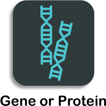 Annotating Genes Proteins - Protein (425x399), Png Download