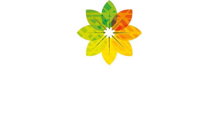 Allseasons Holidays & Hotels Neg Logo - Lily Family (842x595), Png Download