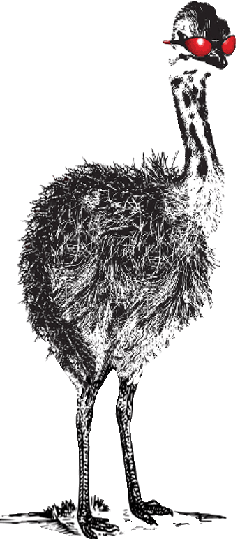 What Our Clients Say - Ostrich (344x772), Png Download