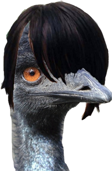 The Jumbo Turkey Leg Is A Emu Leg - Emu Emo (360x345), Png Download