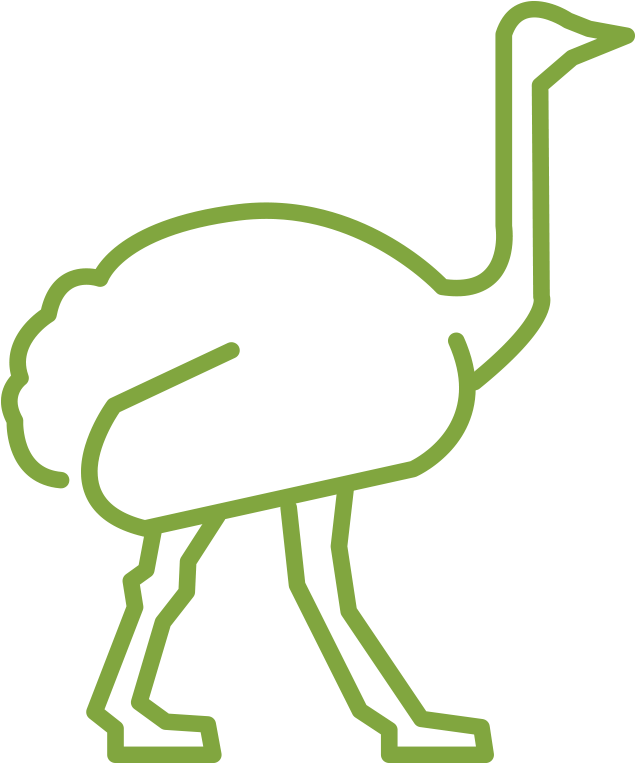 Emu - Vector Graphics (652x800), Png Download