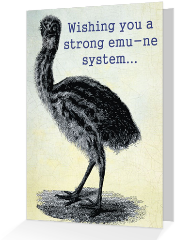 Introduction A Perl Tk - Broché (498x498), Png Download