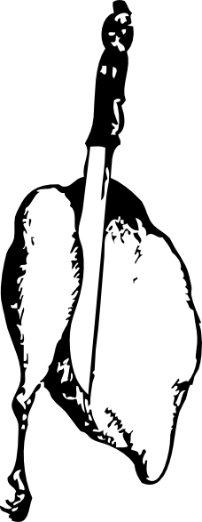 How To Set Use Cutting Chicken Svg Vector - Poultry (228x587), Png Download