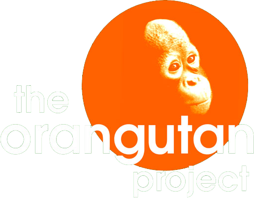 Orangutan-logo - Orangutan Project Logo (516x402), Png Download