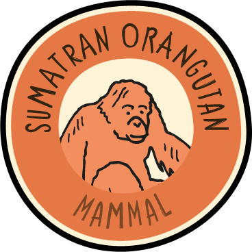 Visit The Zoo And Collect This Animal's Badge In Our - Chester Zoo Badges (368x368), Png Download