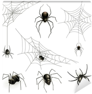 Spiders And Spider Web, Vector Set Wall Mural • Pixers® - Spider-opedia Name That Spider (400x400), Png Download