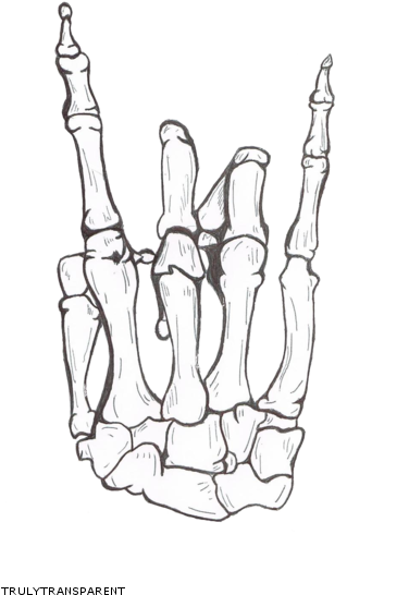 Drawn Sleleton Hand Tumblr - Skeleton Hand Drawing (399x554), Png Download