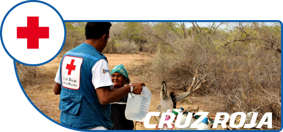 Ver Mas - - Driven Grouse Shooting (563x263), Png Download