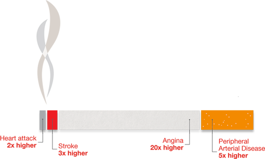Cigarette Infographic Showing Risks Of Smoking - Carmine (1000x600), Png Download