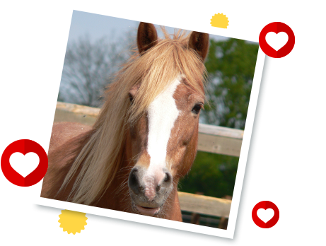 Dolly's Story - Dolly Redwings (503x377), Png Download