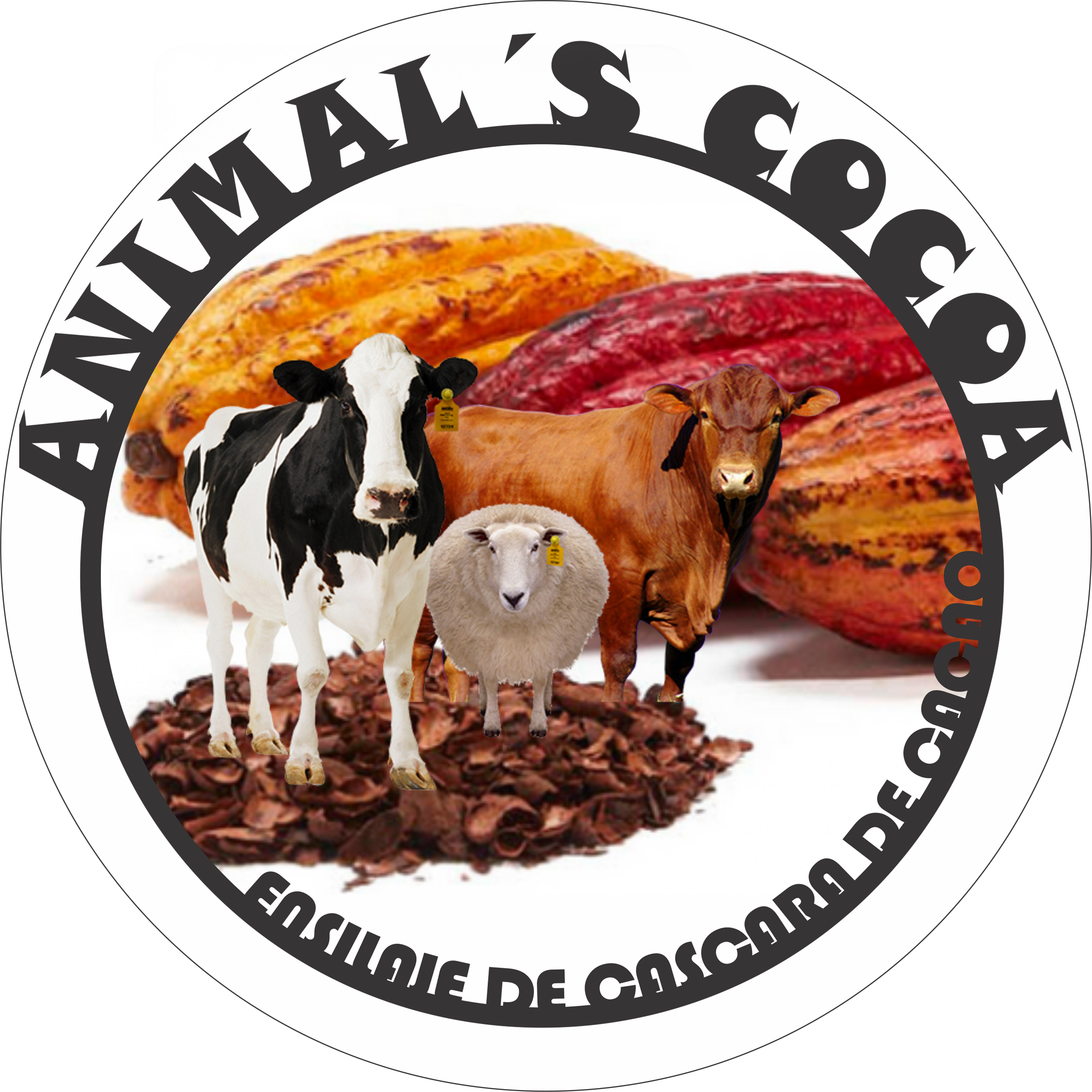Logo Animals Cocoa - Cow White Background (2215x2215), Png Download