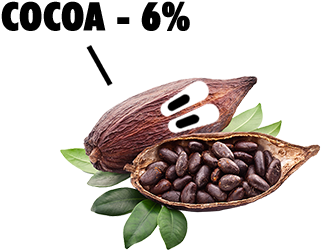 Cocoa Dates Raisins Cashews - Cocoa Bean Png (380x320), Png Download