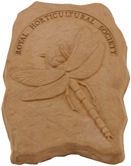 Endangered Species (498x594), Png Download