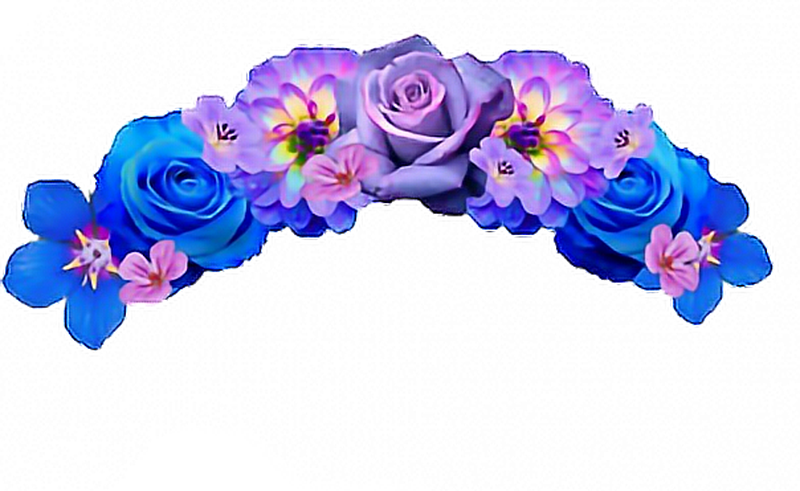 Flower Crown Overlay App Flower Crown Snapchat Filter Pngs Full Size Png Download Seekpng