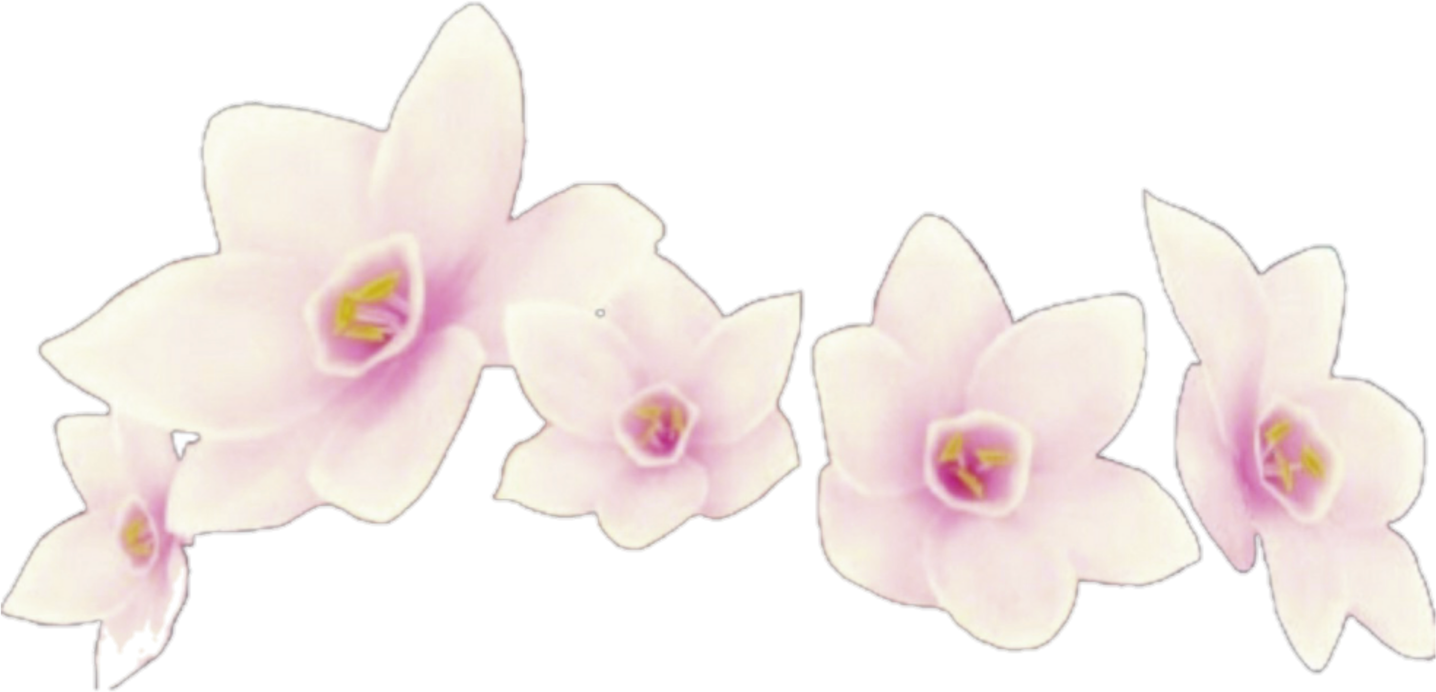 Flower Flowers Crown Crowns Flowercrown Overlays Overla - Really Cute Mixed Babies (3464x3464), Png Download