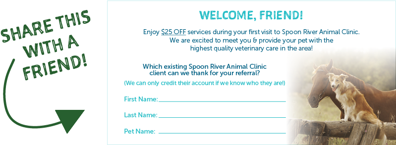 Be Sure To Share This Coupon With Your Friend Before - Smart Girl's Guide To Surviving Her Twenties (820x310), Png Download