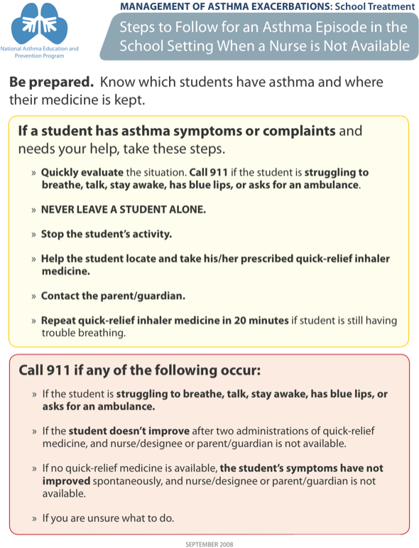 Management Of Asthma Exacerbations - Asthma (640x828), Png Download