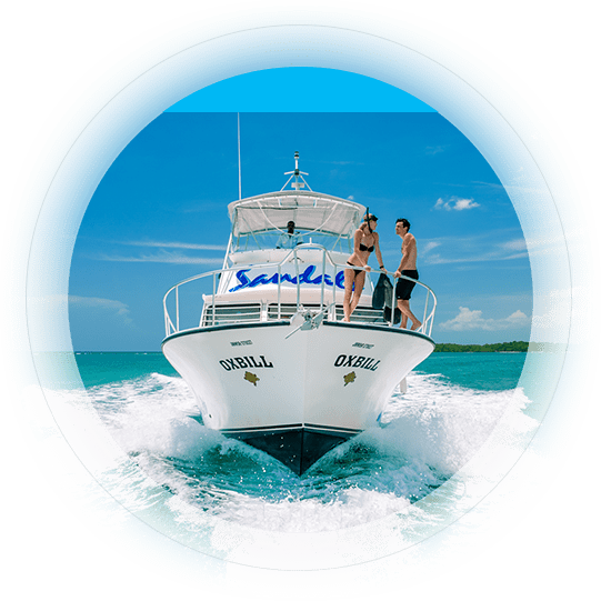 Newton Dive Boats - Boat (541x541), Png Download