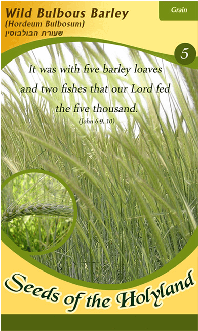 Packet Of Seeds To Grow One Of The Seven Species Of - Wall Barley (650x650), Png Download