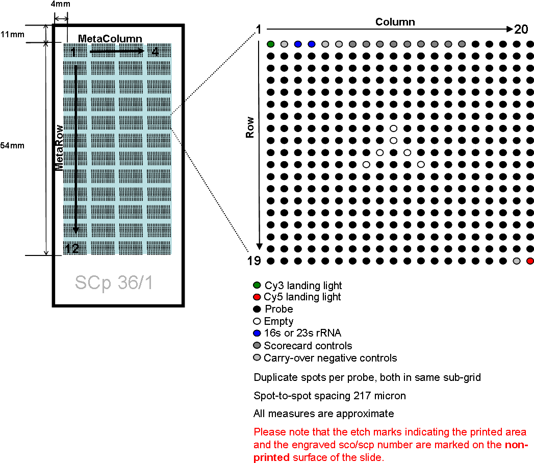 Grid Maps For Spot-finding - Central Ferry Piers, Hong Kong (1125x927), Png Download