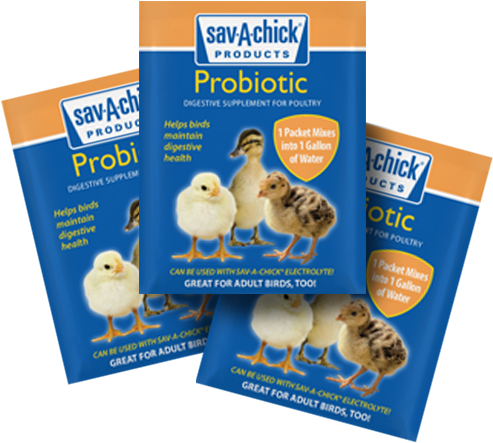 Sav A Chick Electrolyte (500x500), Png Download