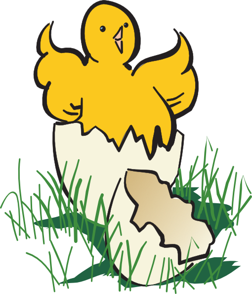 Baby Chick Hatching Clip Art - Hatch Clipart (510x593), Png Download