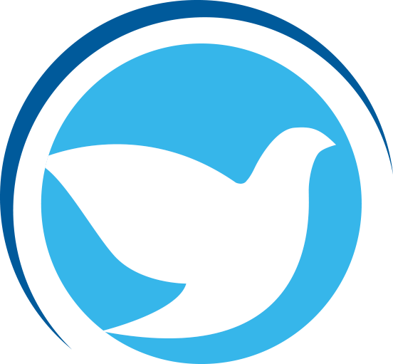 Ko - Logo Pib Satelite (552x511), Png Download