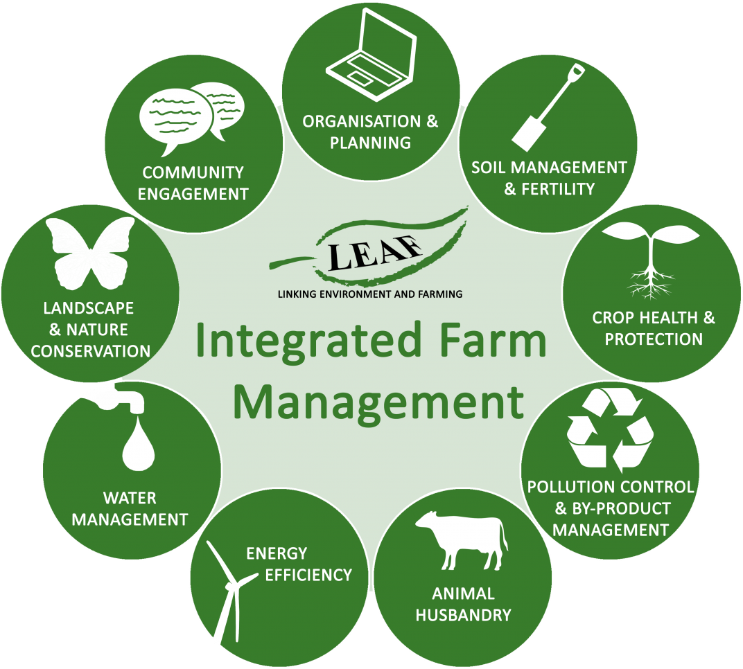 To Read More About Leaf's Ifm, Also See What Is Leaf's - Leaf Marque (1600x1152), Png Download