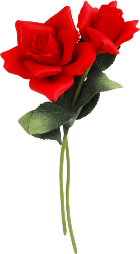 06 Jun 2010 - Two Long Stem Roses (277x500), Png Download